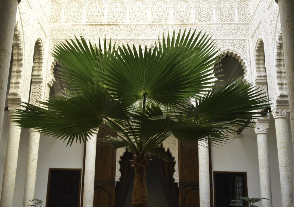 Riad Azahra Rabat Esterno foto